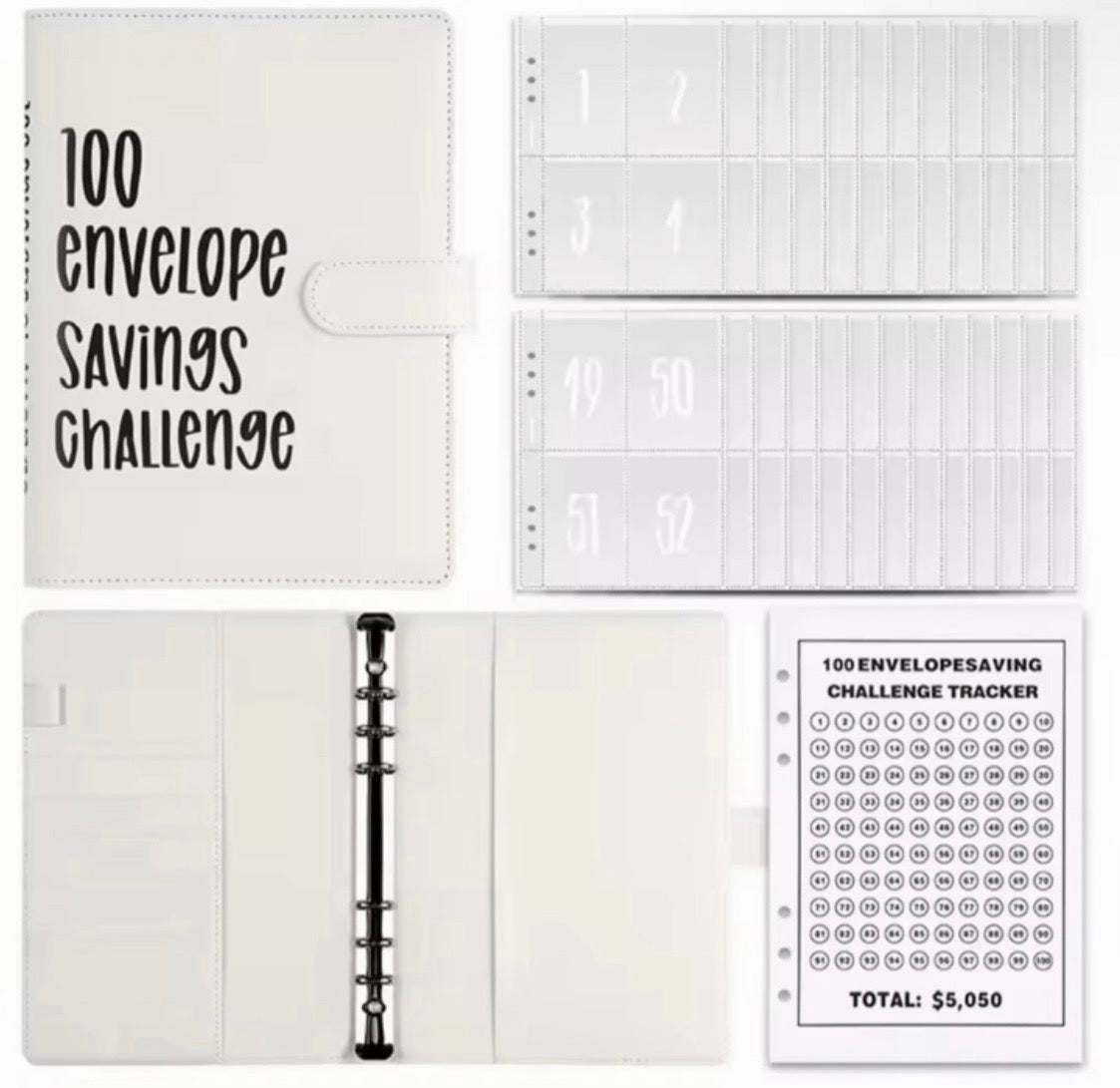 100 Days Money Saving Book