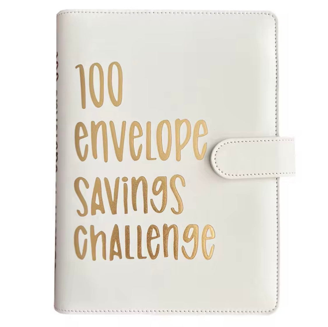 Money Saving Challenge Book