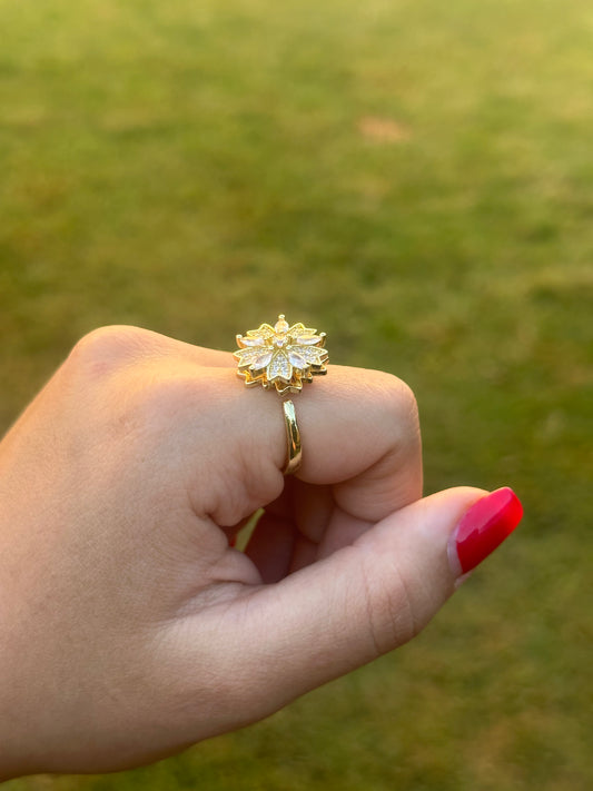 Céli Stress Relief Rings